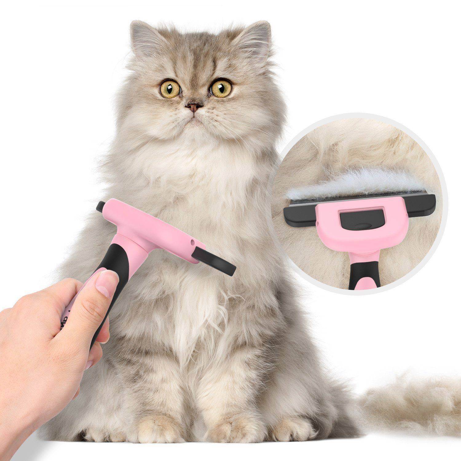 Как подстричь шерсть коту машинкой и ножницами самому