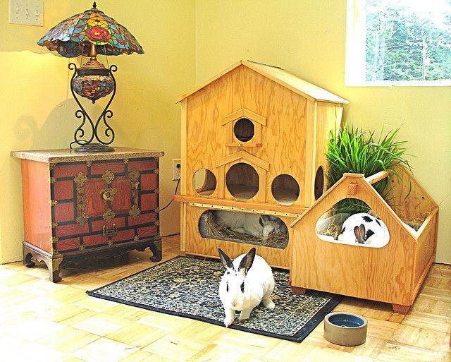 Домик для кролика своими руками в домашних условиях, изготавливаем дом кролика