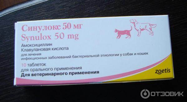 Топ-15 препаратов для кишечника