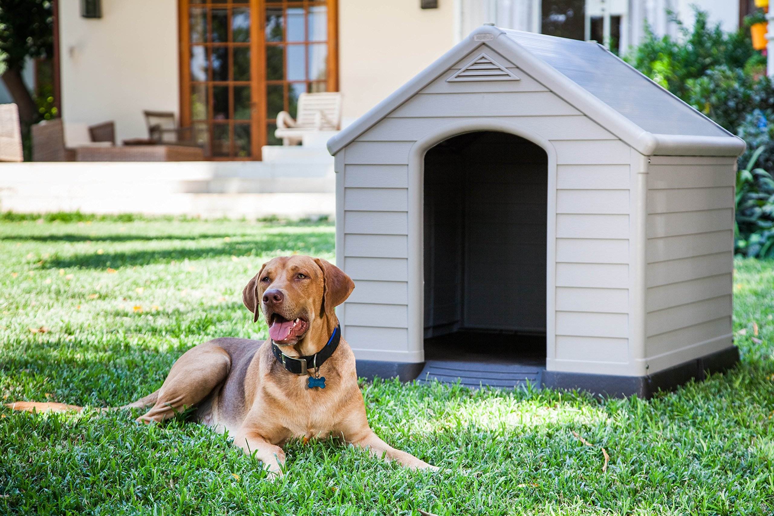 Как приучить собаку к месту в доме или квартире