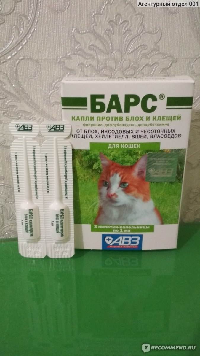 Капли барс для кошек и собак - инструкция по применению - обнаружил.ру