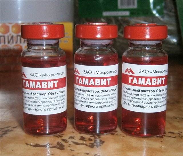 Витаминный комплекс гамавит: инструкция по применению ветпрепарата
