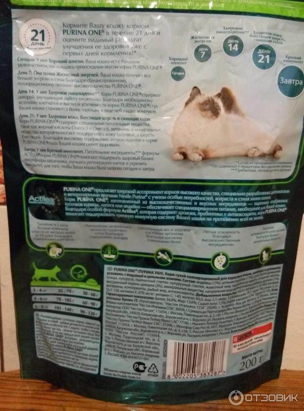 Лечебные корма для кошек: рейтинг по качеству - петобзор