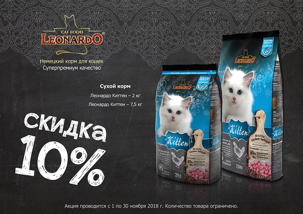 Корм для кошек «леонардо»: описание, состав, виды и отзывы :: syl.ru