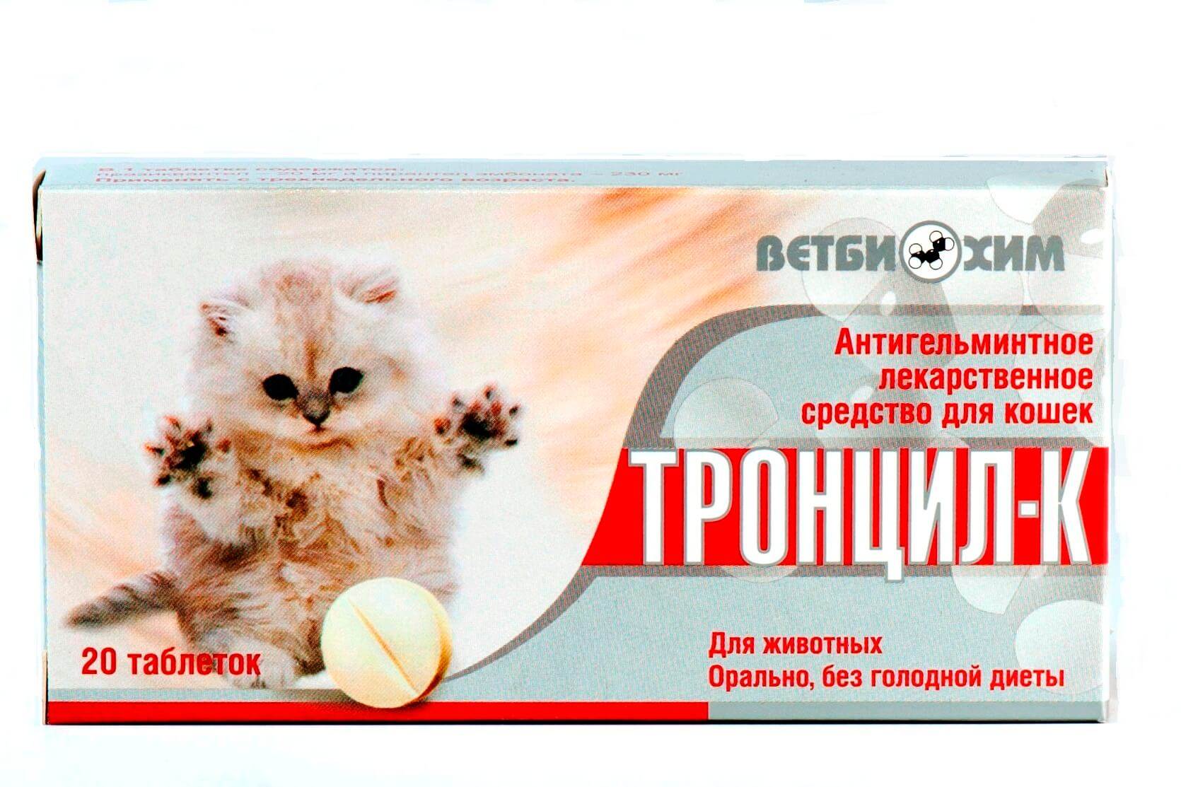 Что можно дать кошке от глистов? топ 11 препаратов для лечения гельминтоза