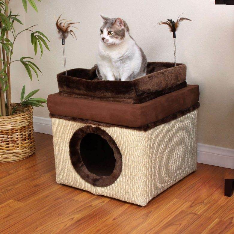 Как правильно выбрать домик для кошки или сделать его самим - мир кошек