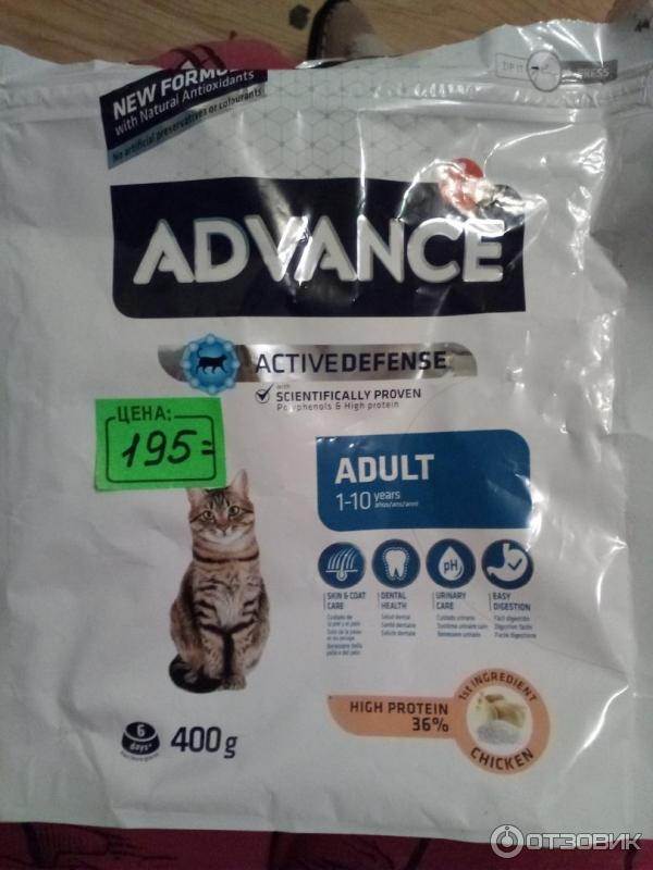 Корм для кошек advance (адванс) - отзывы и советы ветеринаров