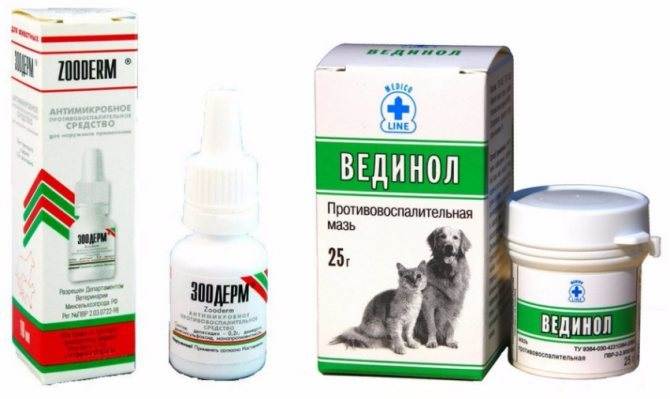 Пиодермия у собак: лечение, симптомы, список препаратов