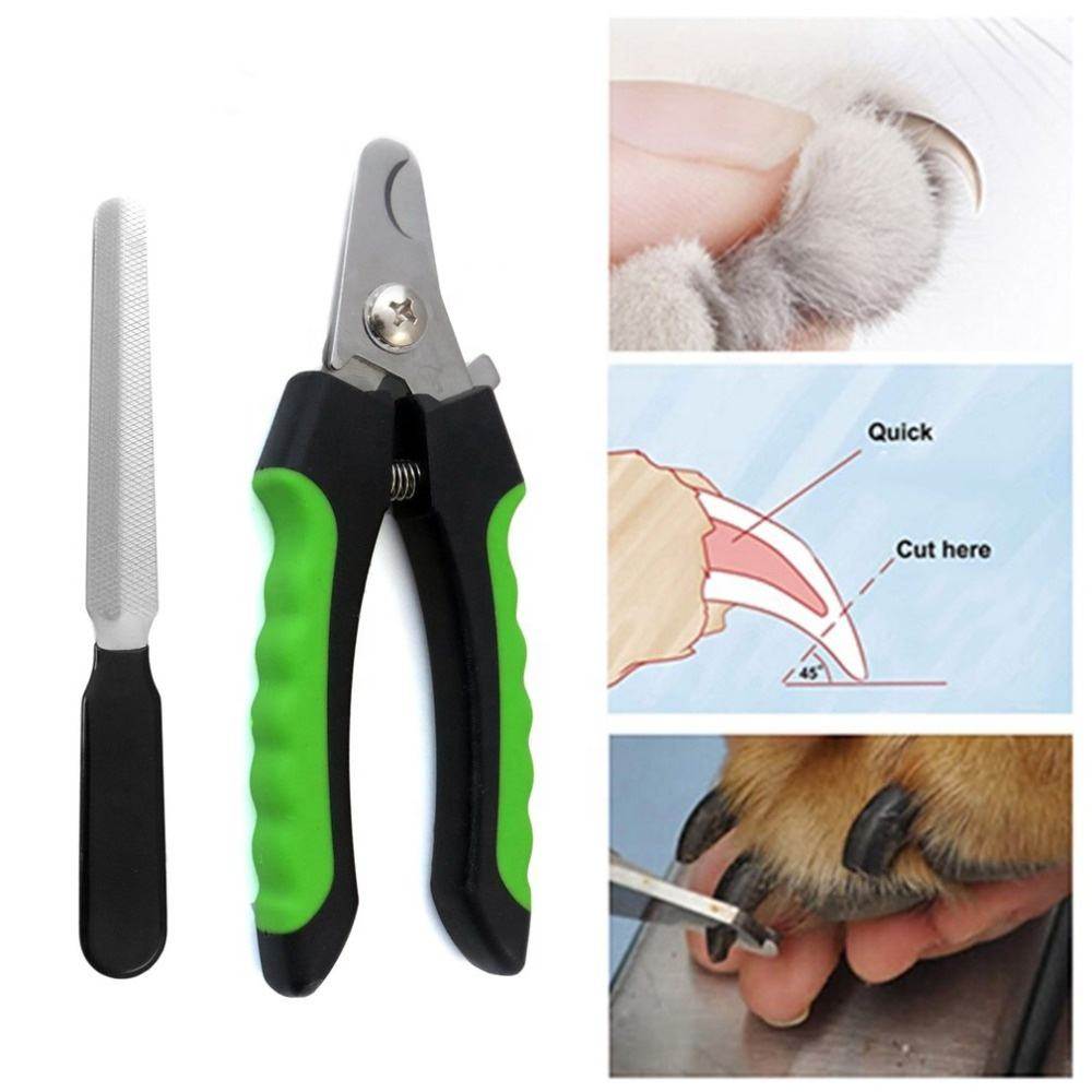 Как подстричь когти котенку - инструмент и процесс