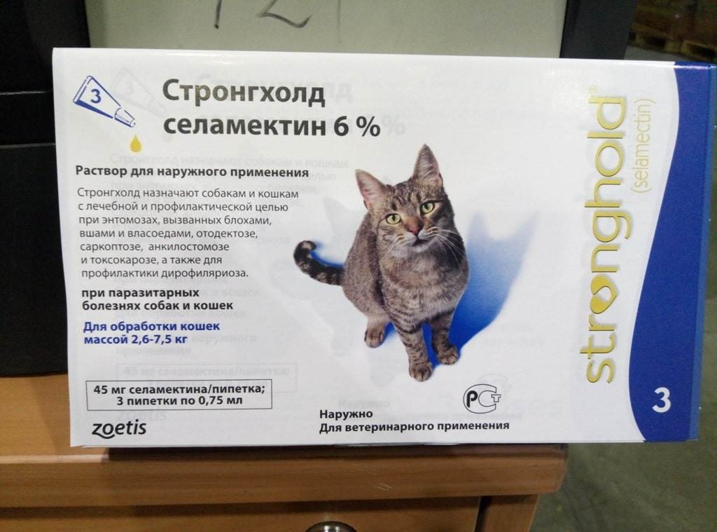 Стронгхолд для кошек: инструкция по применению и назначение препарата