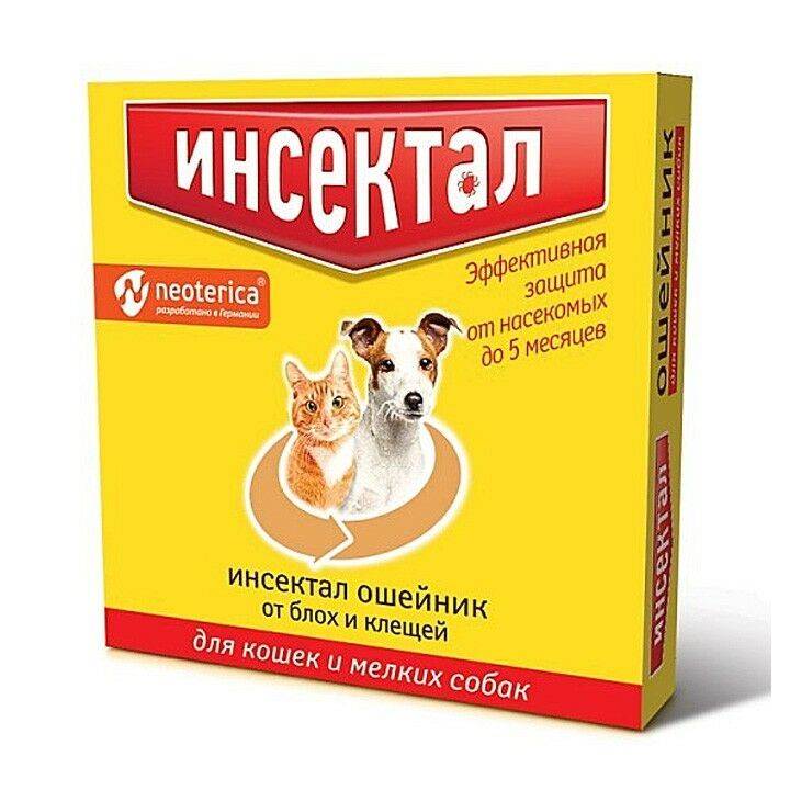 Лучшие ошейники от блох
