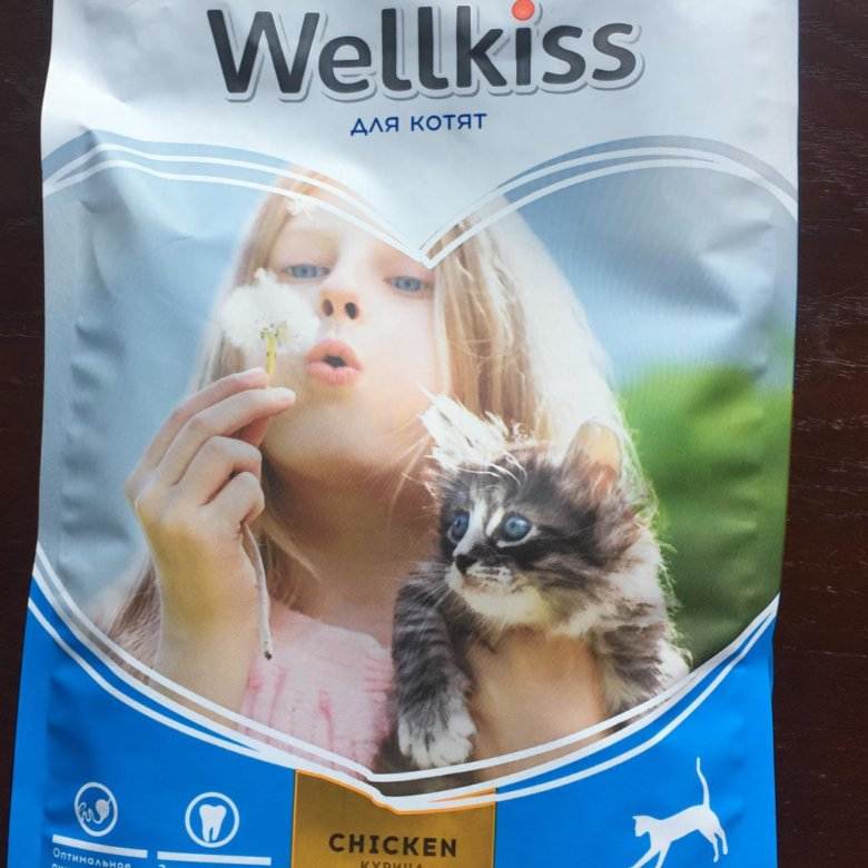 Корм для кошек wellkiss: 8 популярных видов, отзывы, стоит ли давать