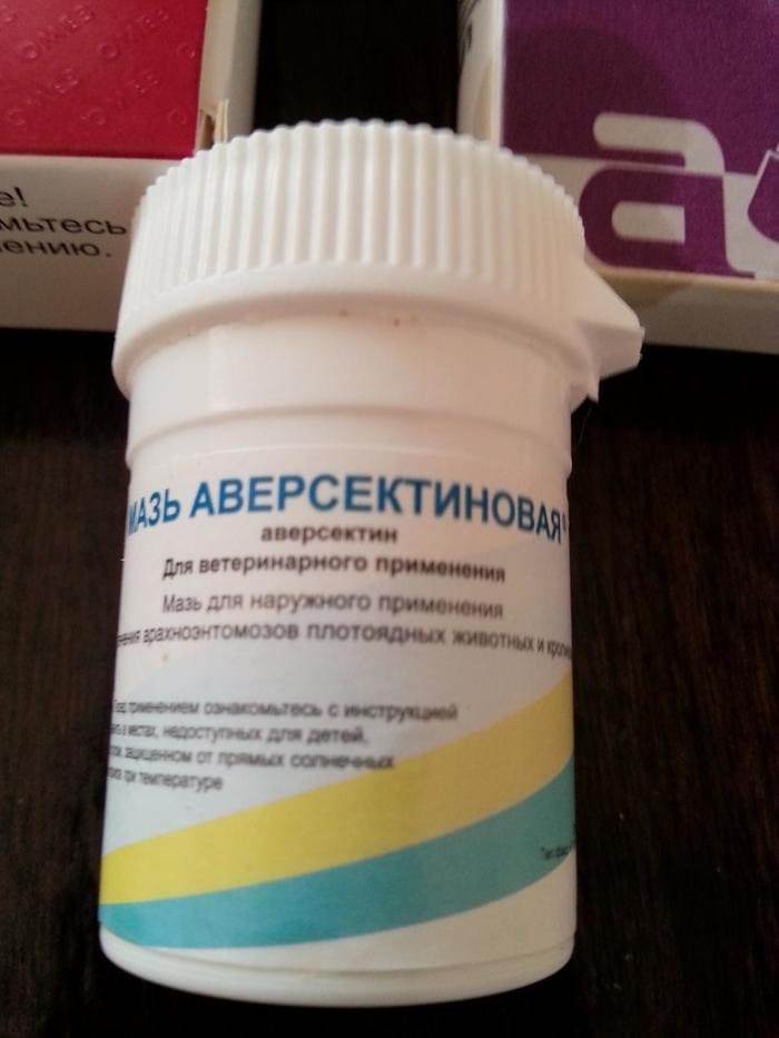 Аверсектиновая мазь для кошек - инструкция по применению