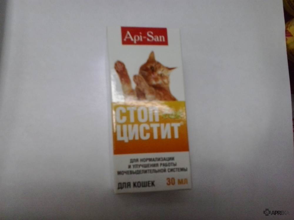 Препарат стоп цистит для кошек: эффективное средство при воспалительных заболеваниях мочевого пузыря и почек