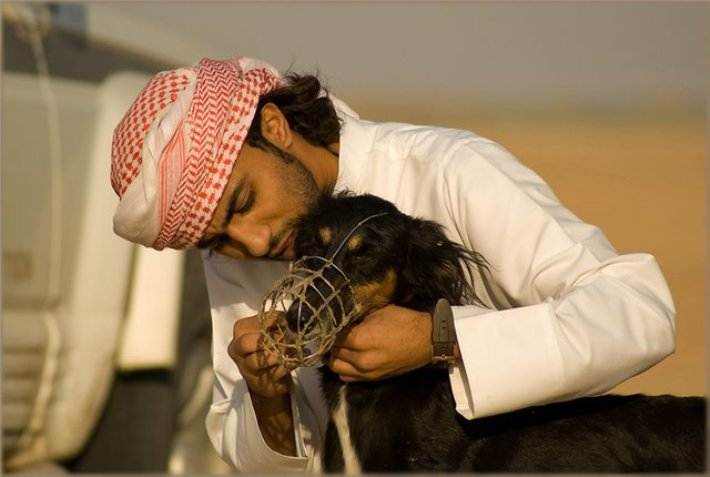 Почему мусульманам нельзя трогать и заводить собаку: причины нелюбви к питомцам