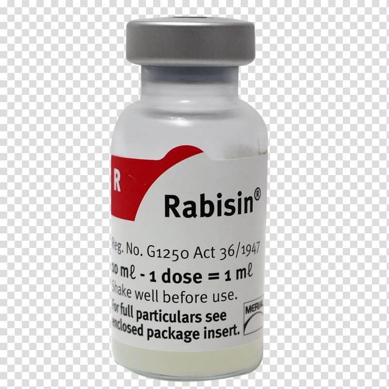 Рабизин для кошек - вакцина от бешенства. инструкция по применению рабизина кошкам (показания, противопоказания, схема)