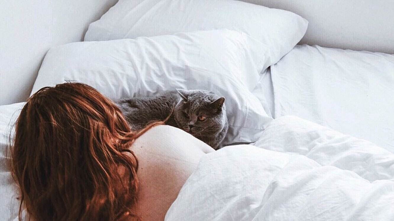 кот любит спать на кровати