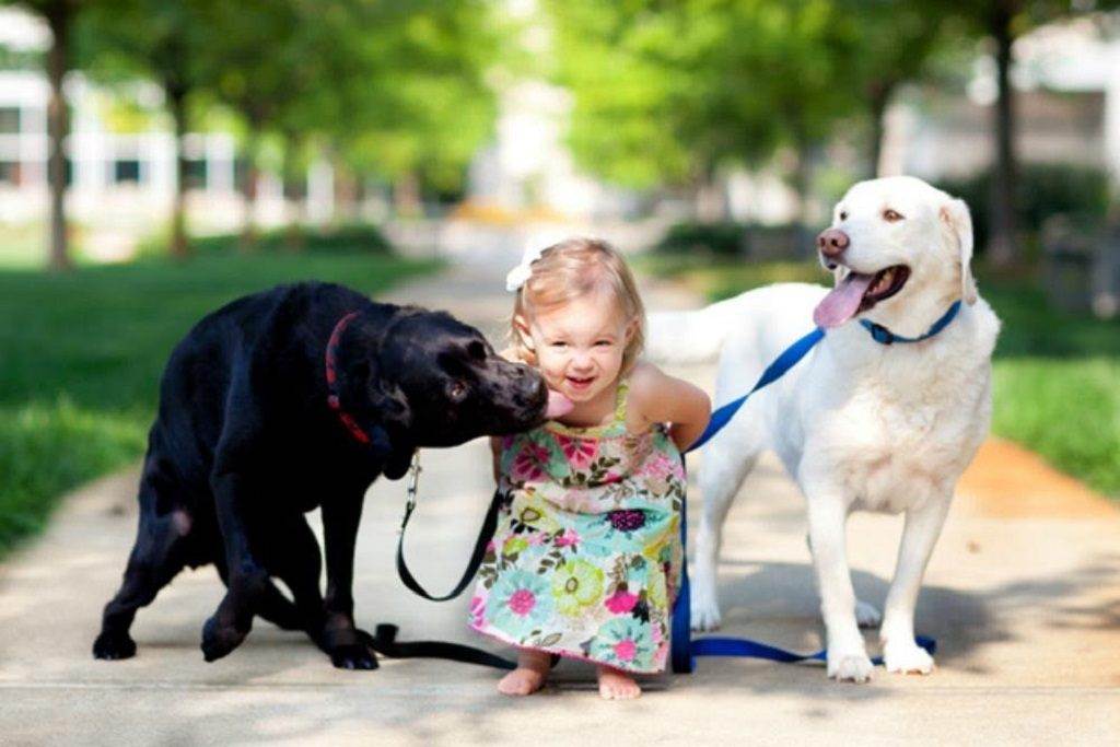 Лучшие породы собак для детей