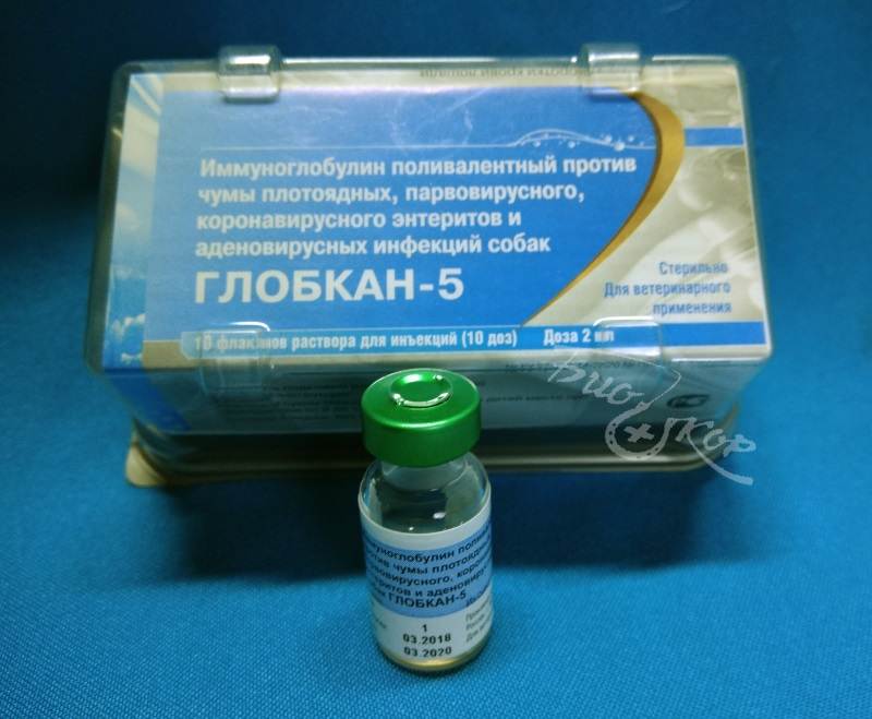 Вакцина ковивак в москве: где можно сделать прививку от covid-19