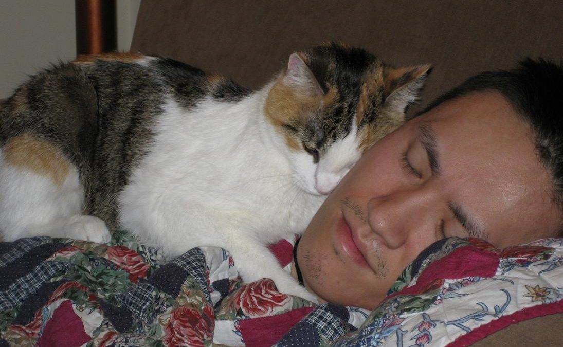 Почему кошки спят на человеке