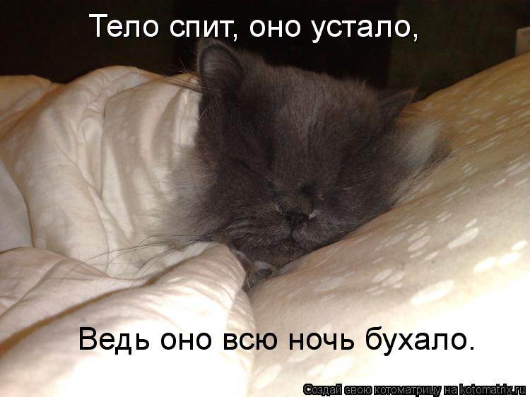 Почему кошка не дает ночью спать?