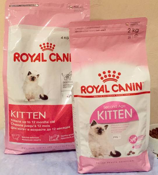 Корм для кошек royal canin: отзывы и разбор состава - петобзор