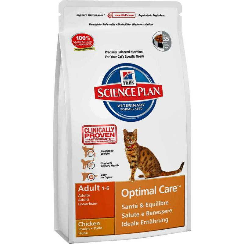 Какой корм выбрать для пожилых кошек и какие у них потребности в питании | hill's pet