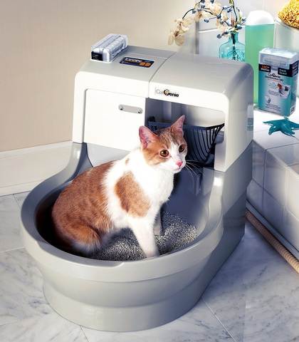 Автоматический туалет для кошек — что это такое? виды самоочищающихся туалетов и правила выбора