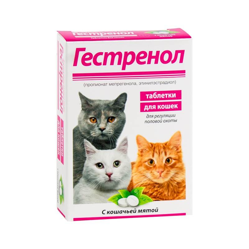 Уколы для кошек от гуляния: инъекции гормональных препаратов от течки