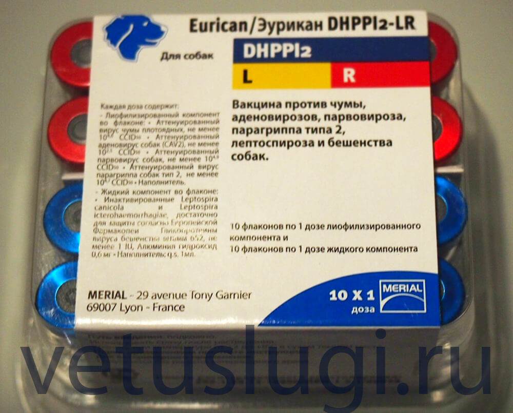 Прививка эурикан: инструкция по применению для щенков и собак. комплексная прививка эурикан от чумы парвовирусного энтерита, гепатита, парагриппа, аденовироза, лептоспироза, бешенства