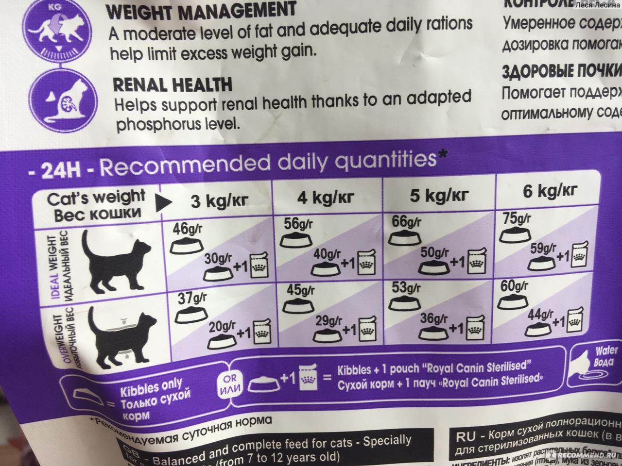 Сколько сухого или влажного корма нужно давать кошке в день: расчет суточной порции, физиологические особенности кошки, когда следует убавить или прибавить еды