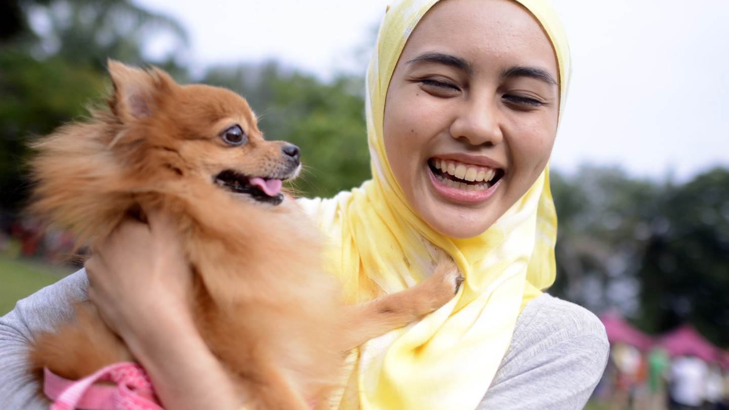 Почему мусульманам нельзя трогать и заводить собаку: причины нелюбви к питомцам