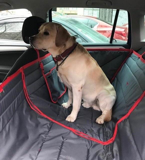 Инструкция по изготовлению подстилки для собак в машину своими руками