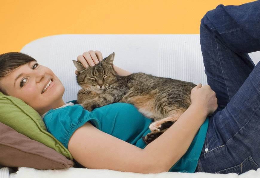 Почему кошки спят в ногах у человека, рядом с ним