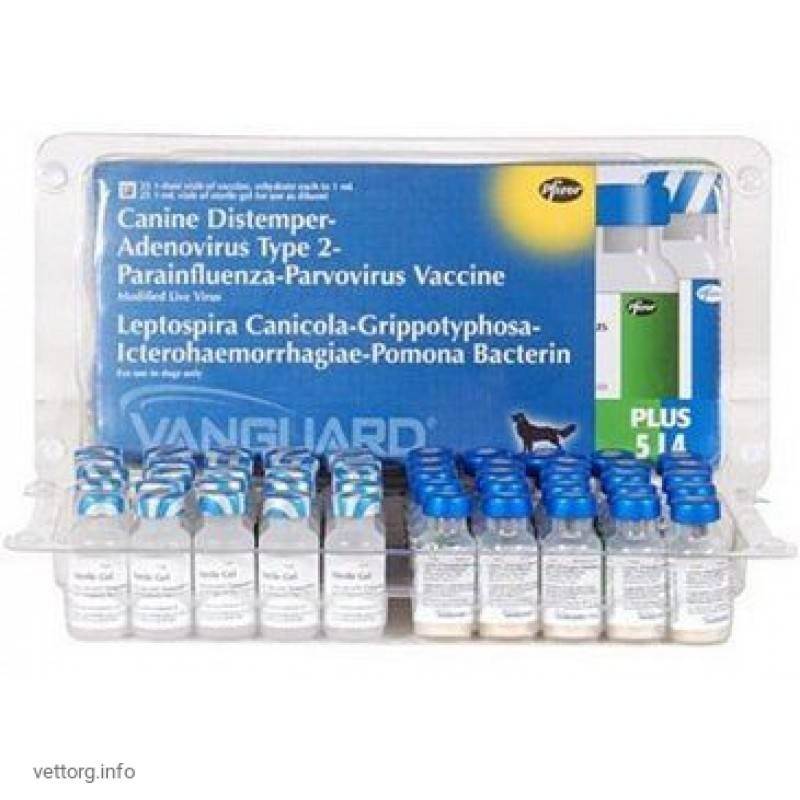 Вангард прививка для собак