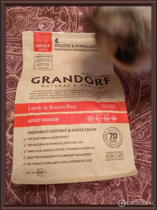Грандорф: корм для кошек сухой и влажный, отзывы ветеринаров