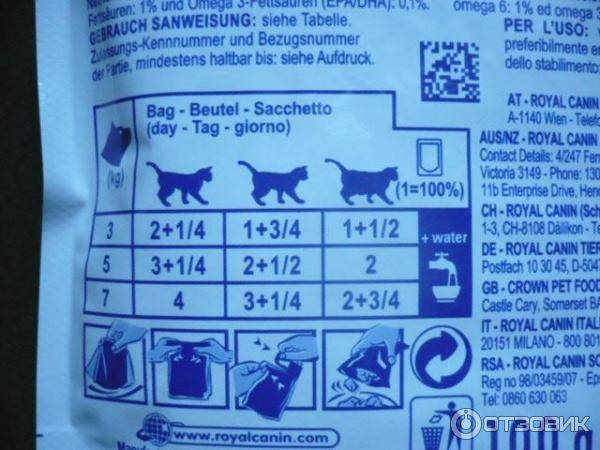 Диетическое и лечебное питание собак (нормы и специальные корма)