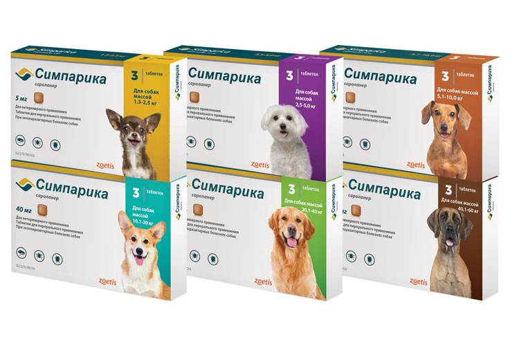 Таблетки от клещей для собак: инструкции, действие, рейтинг, цена и где купить | petguru