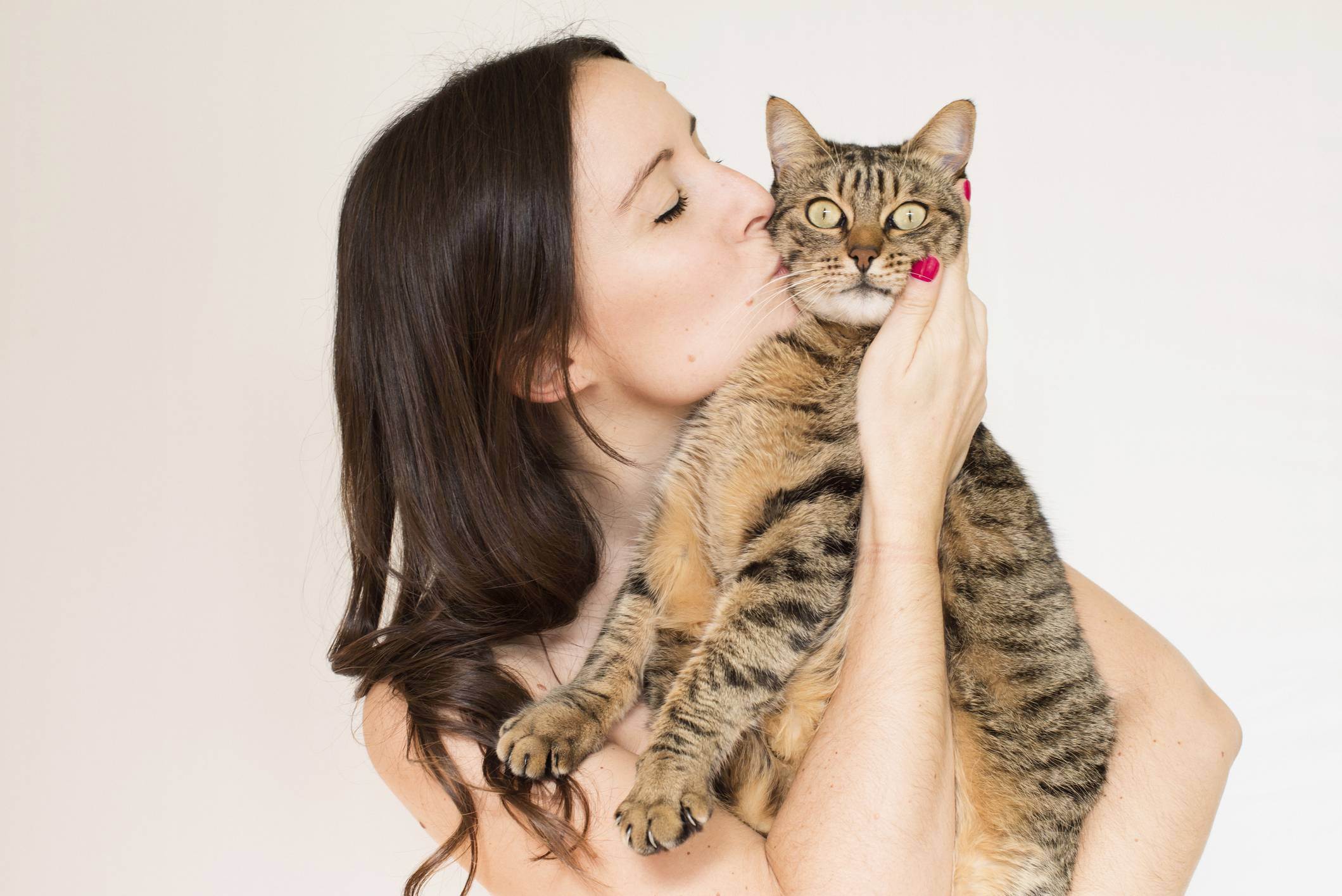 Как кошки проявляют свою любовь к хозяину — основные признаки