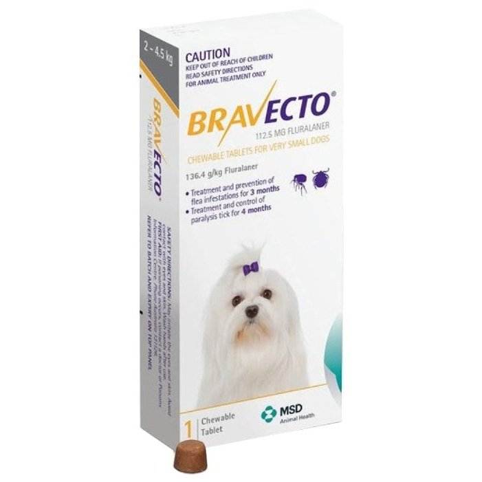 Аптечка для собак: лекарства, антибиотики, ветеринарные, противорвотные препараты и антисептики для лечения собак