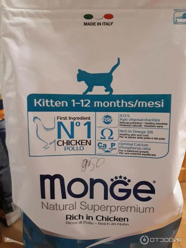 Состав и особенности итальянского корма для кошек monge
