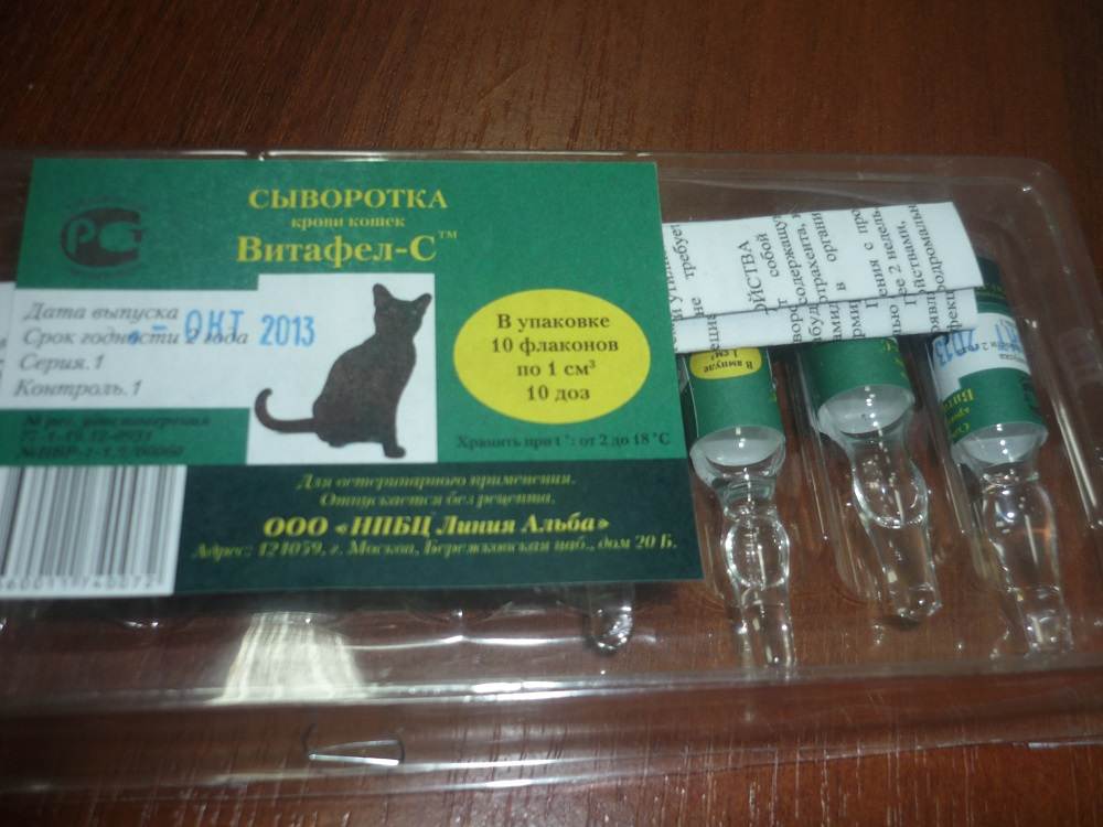Глобулин «витафел» и сыворотка «витафел-с» для кошек: инструкция по применению