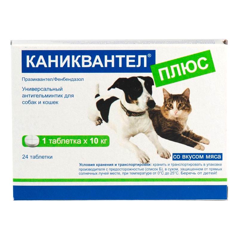 Таблетки от глистов для кошек: препараты для дегельминтизации, рекомендации и обзор, как давать таблетки кошке