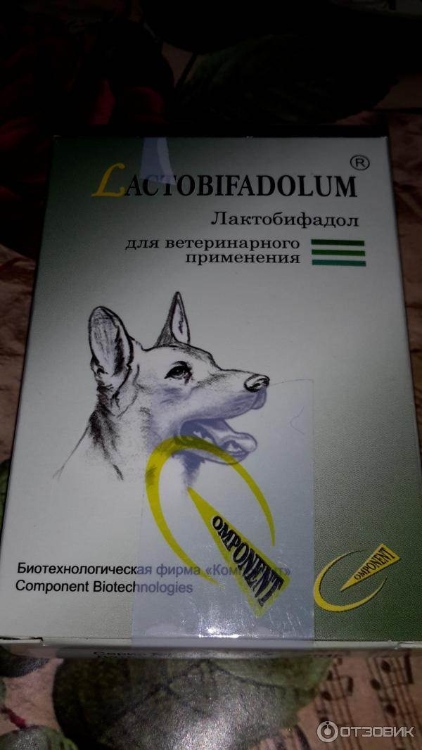 "лактобифадол" для собак: описание, свойства, противопоказания