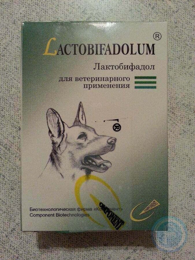 Лактобифадол для кошек: инструкция по применению ветеринарного препарата, аналоги, отзывы