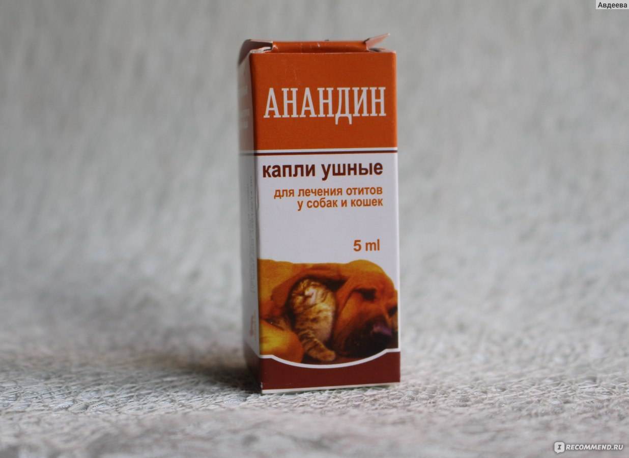 Анандин плюс (ушные капли) для кошек и собак | отзывы о применении препаратов для животных от ветеринаров и заводчиков