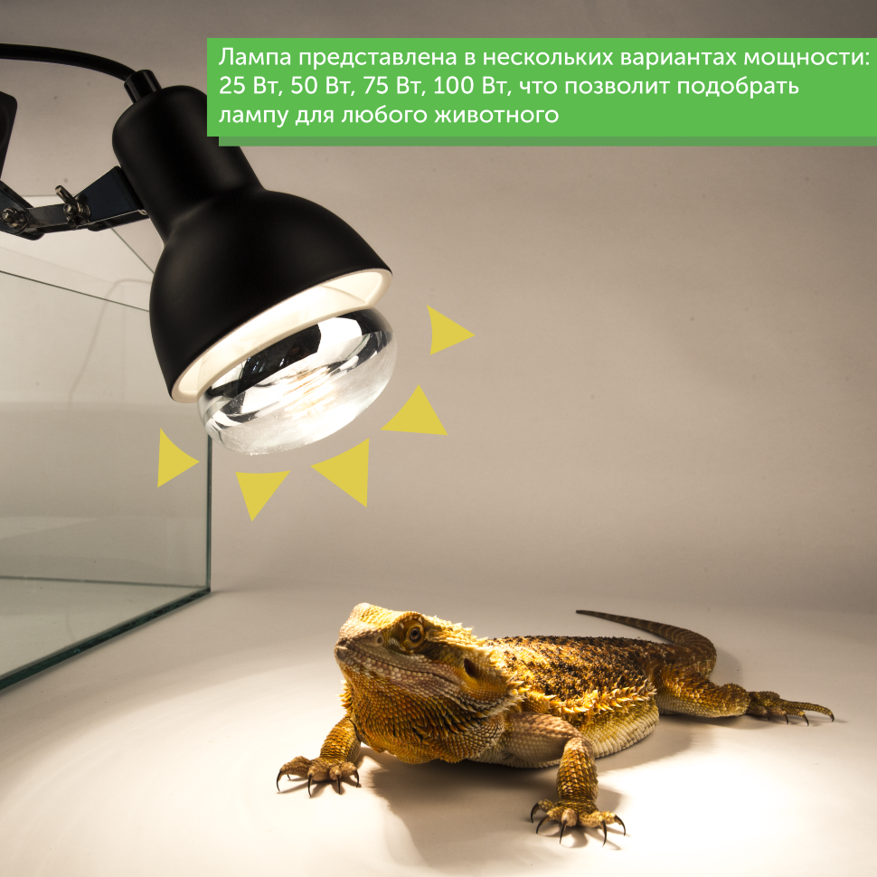 Ультрафиолетовая лампа для черепах: выбор, характеристики, эксплупатация