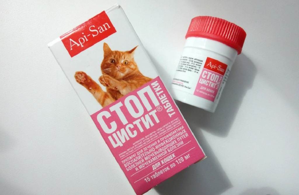 Стоп-цистит для кошек: обзор препарата
