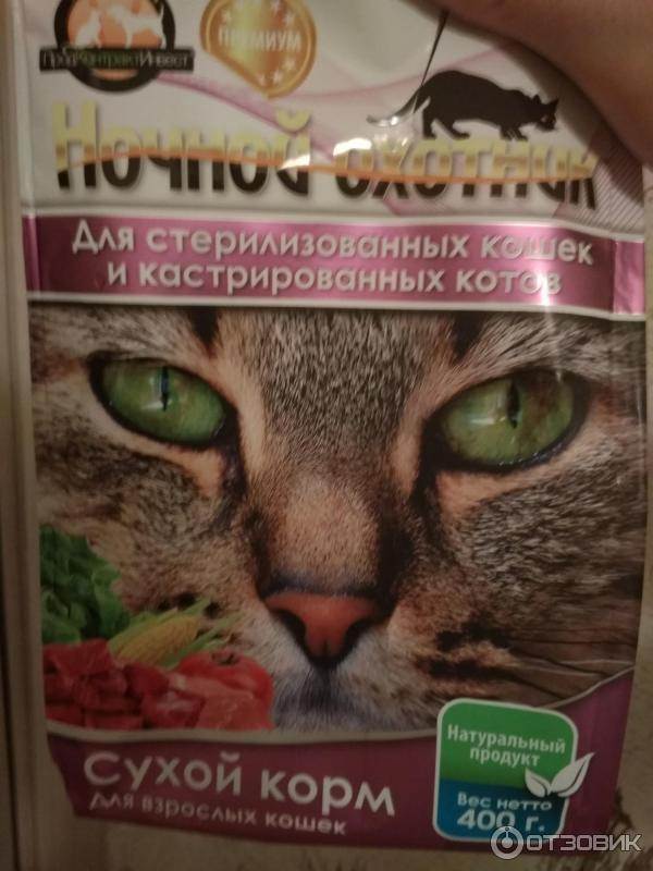 Ночной охотник: корм для кошек от отечественных производителей