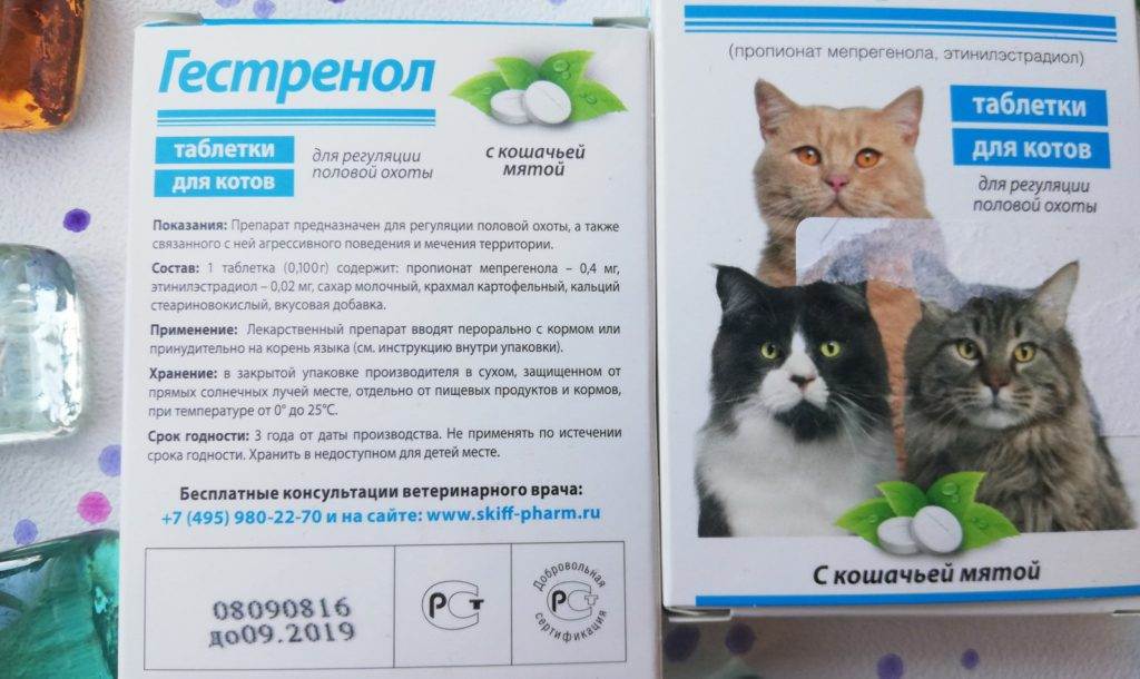 Способ применения капель и таблеток гестренол для кошки: обзор инструкции